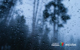 Escolas do Turismo de Portugal mobilizam-se para apoiar comunidades afetadas pelas tempestades