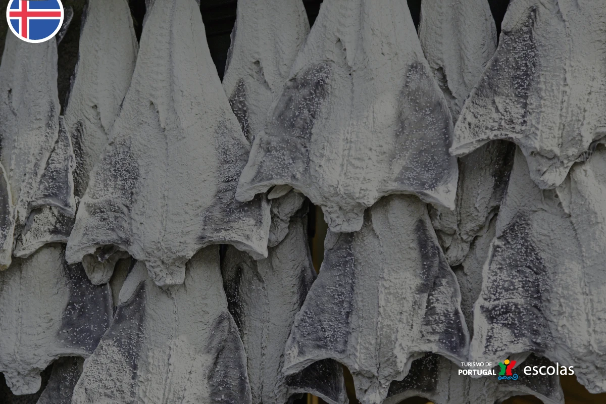 Concurso Bacalhau da Islândia 2026