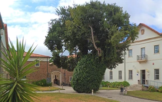 Concurso de Contratação de Escola